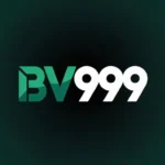 BV999