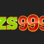 Zs999